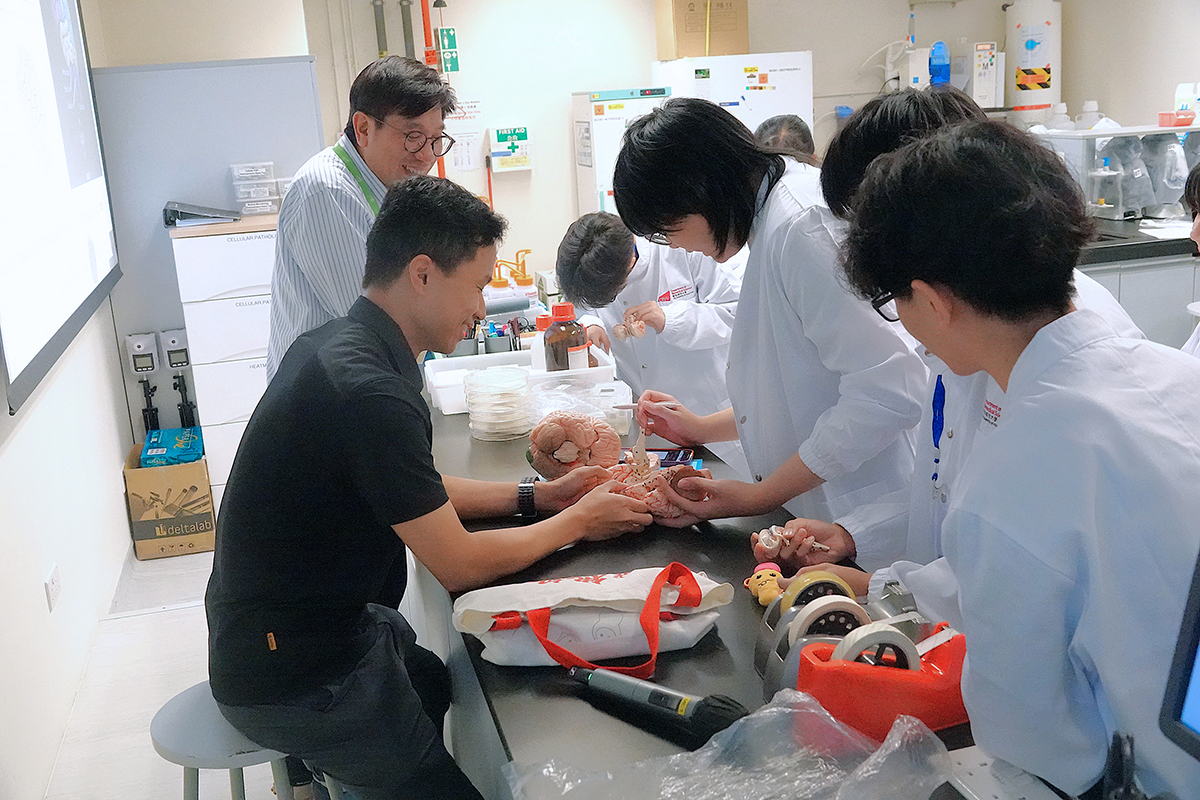 Students take part in the Biomedical Application Workshop and ELISA COVID simulation, combining theory with hands-on learning.