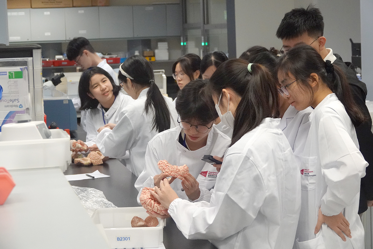 Biological Science Summer Camp 2025: Inspiring the Next Generation