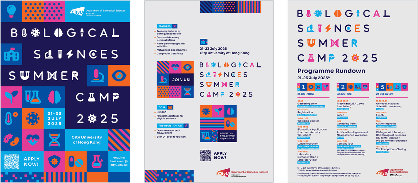 Summer Camp poster, flyer and rundown.