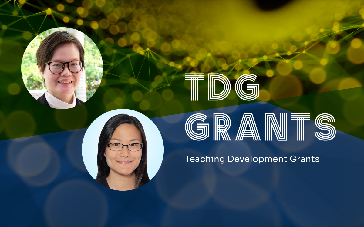 Profs. Katie Chan and Kwan T. Chow Awarded Teaching Development Grants