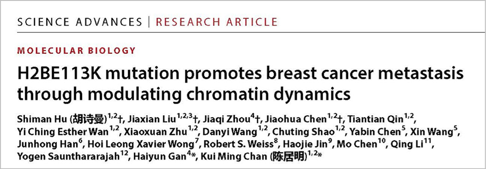 https://www.science.org/doi/10.1126/sciadv.adx4982