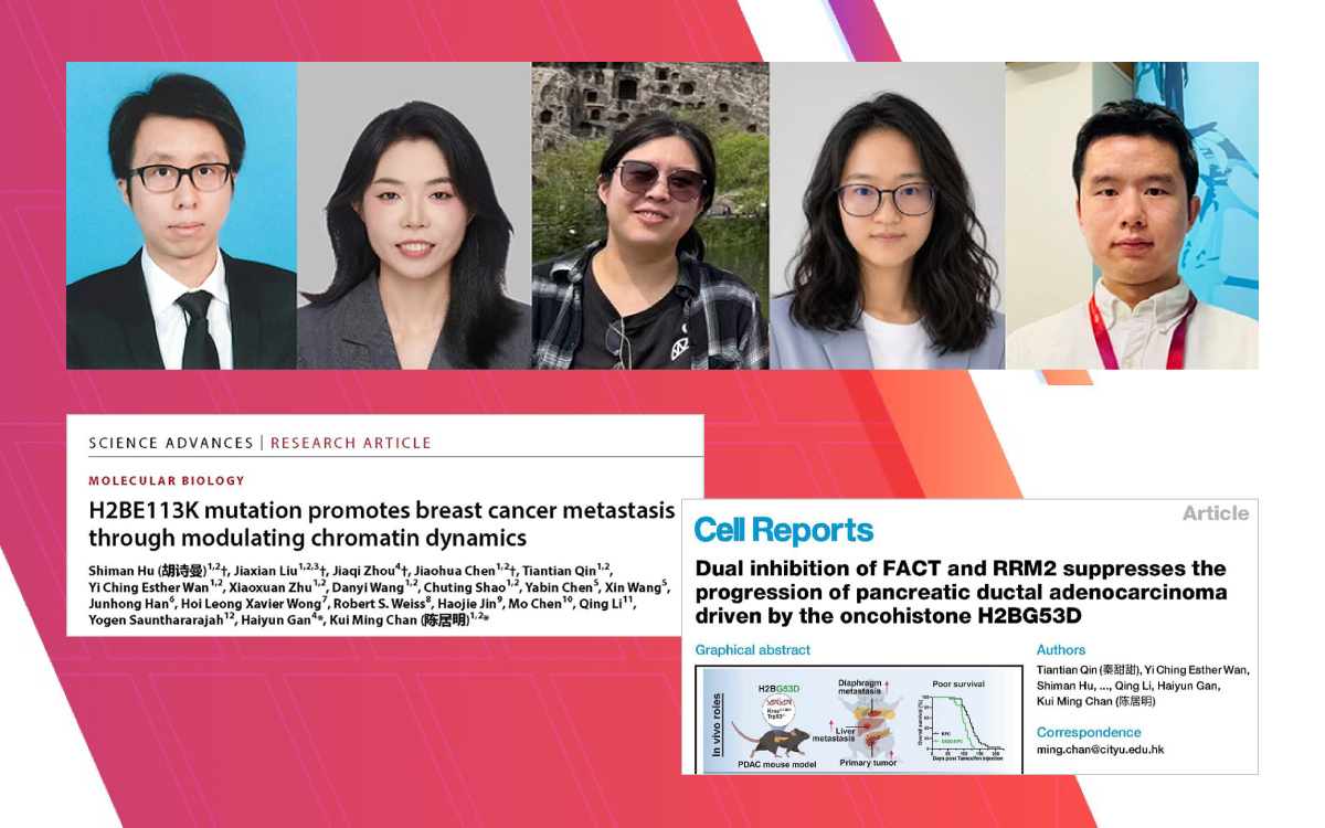 Breakthrough studies from Prof. Kui Ming Chan’s team reveal how histone mutations drive cancer — and how they can be targeted