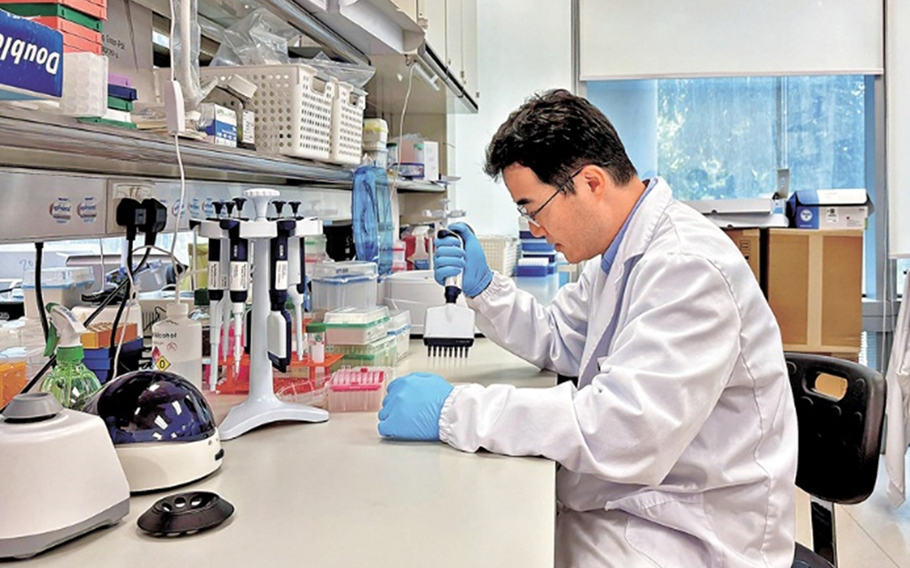 CityUHK Startup GenEditBio Advances Groundbreaking Genome-Editing Therapies to Clinical Trials