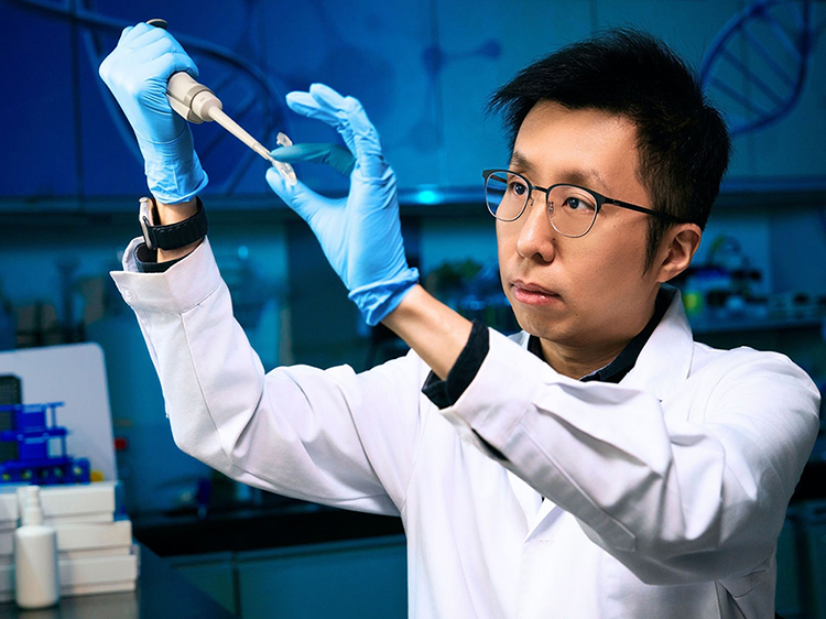 Research led by Prof. Ming Chan reveals modulating chromatin dynamics of H2B mutations, shedding light on novel targeted therapy of breast cancer