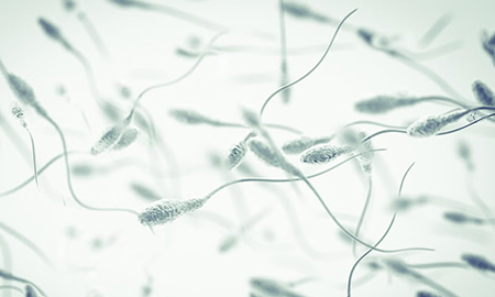 The Independent | Air pollution is associated with poorer quality sperm