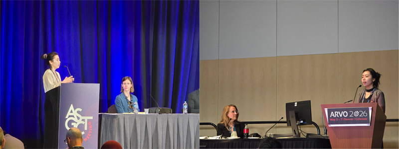 Dr Qian Luo, MD/PhD, postdoc, delivered a talk at the 2026 Annual Meeting of the Association for Research in Vision and Ophthalmology (ARVO), May 3-7 in Denver, Colorado and a talk at the 2026 Annual Meeting of American Society of Gene and Cell Therapy (ASGCT), May 11–15 in Boston, Massachusetts, USA.