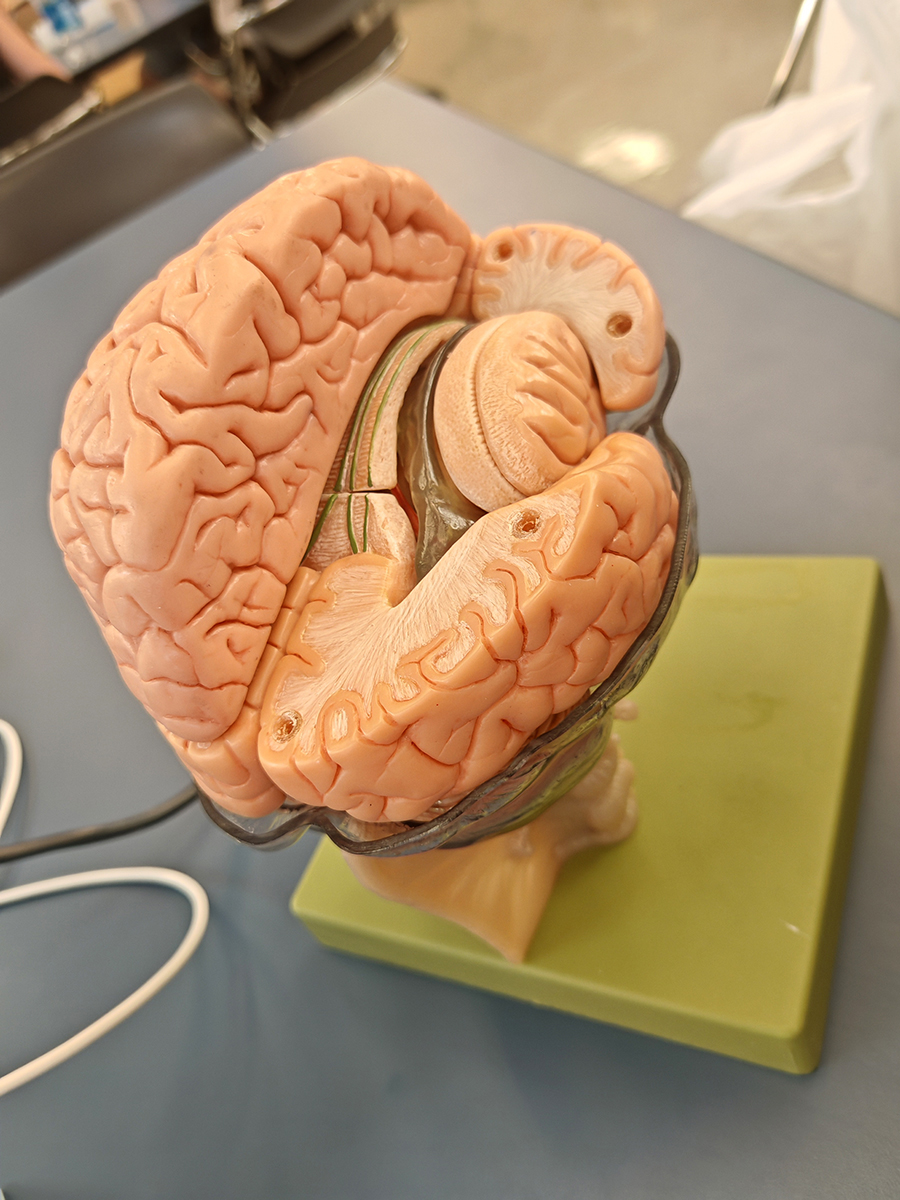 Photo taken by Jiahan Yuan during UBC VSP