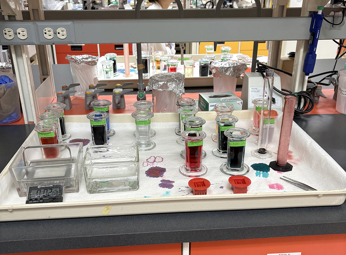 Photo taken by Kin Wang Sun during UBC VSP