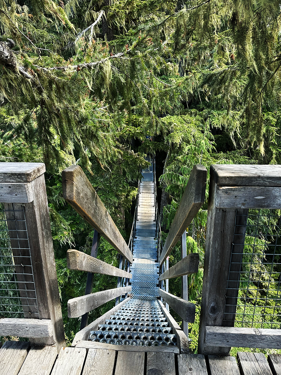 Photo taken by Shiyu Zhu during UBC VSP