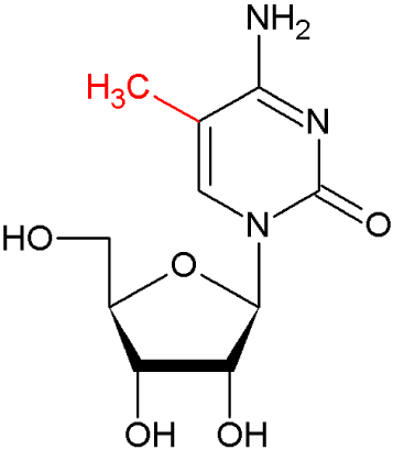 m5C