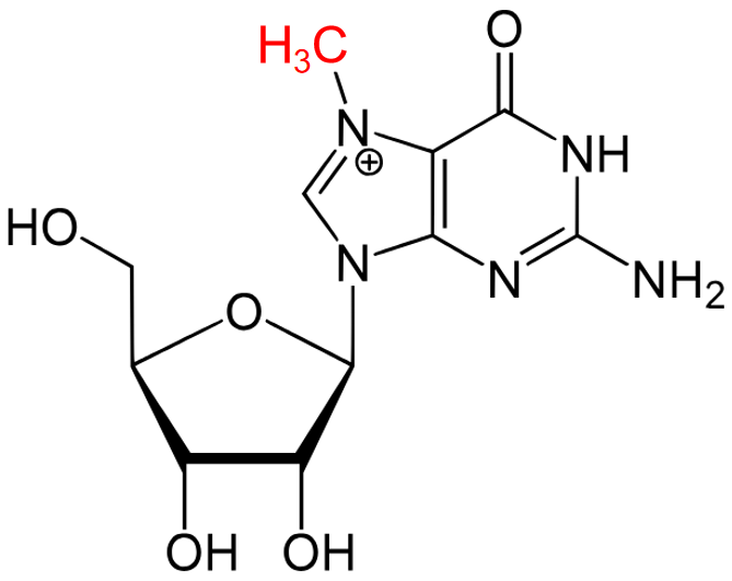 m7G