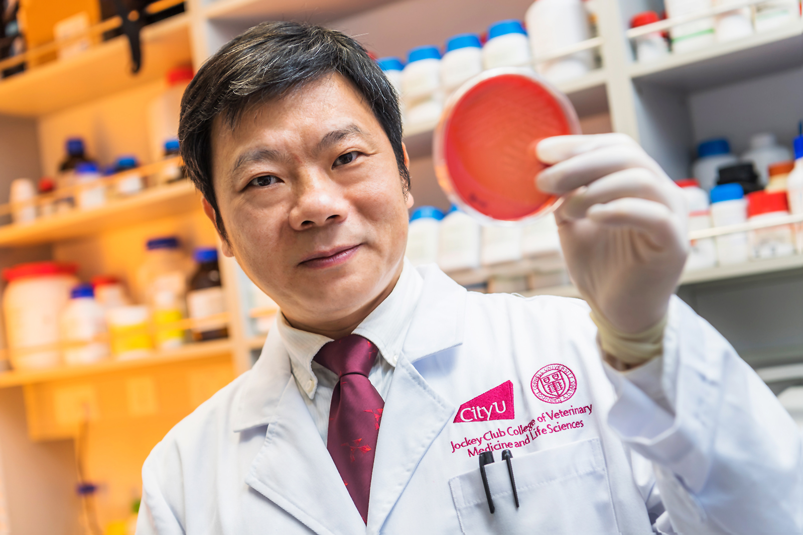 CityU secures research funding from the RGC to tackle the global public health threat from hypervirulent, multidrug-resistant pathogens