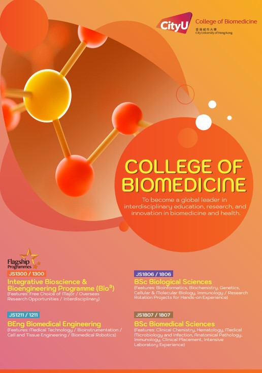 Cover of the Undergraduate Programmes Leaflet