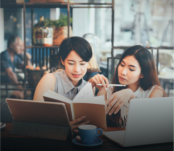 Undergraduate Programme