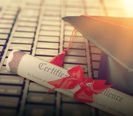 Undergraduate Programme