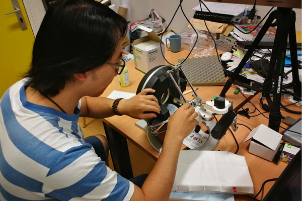 Course Registration