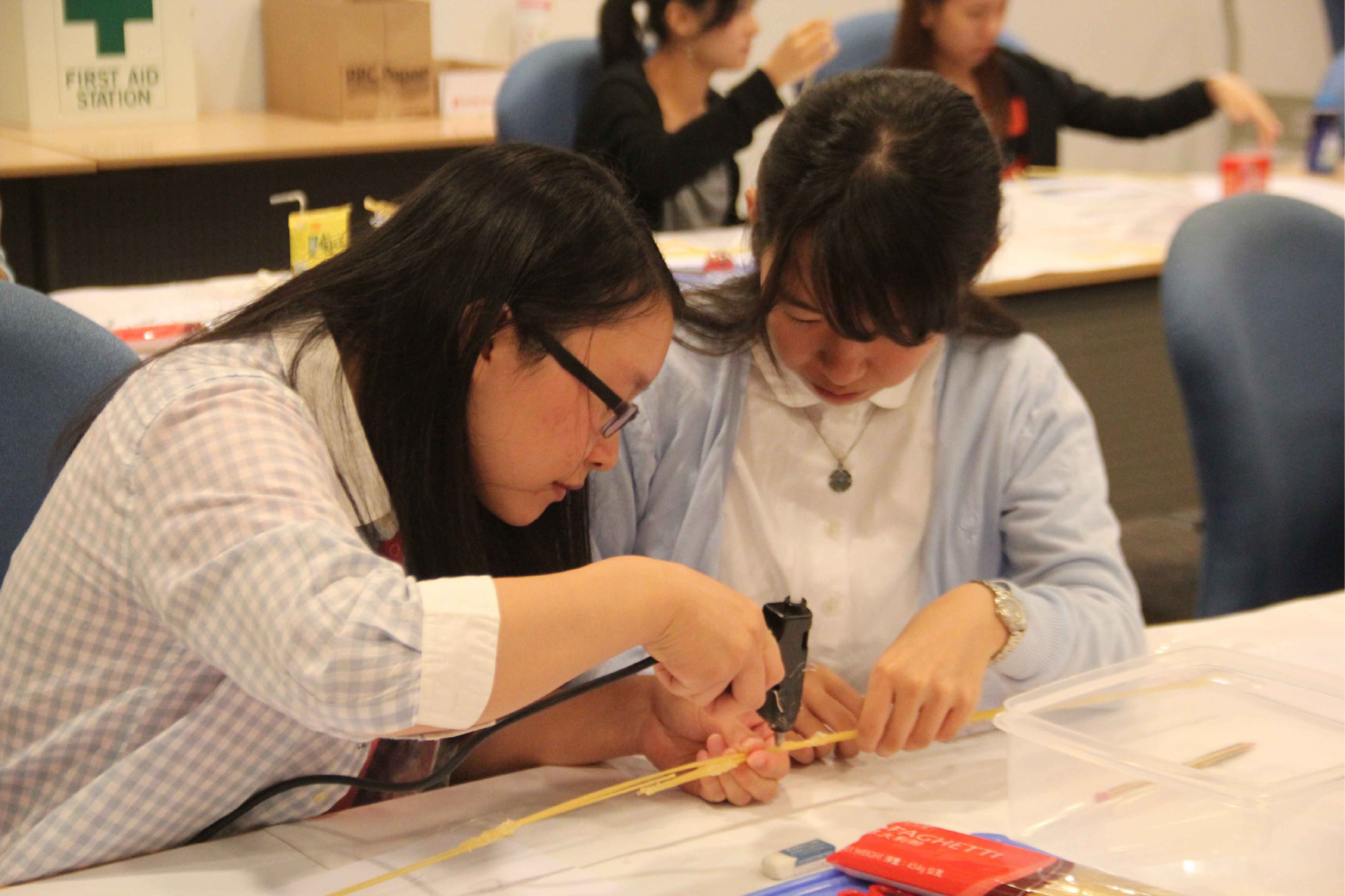 STEM Challenge