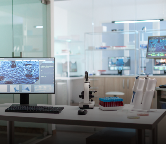 Research Grants Awarded in the Past Year