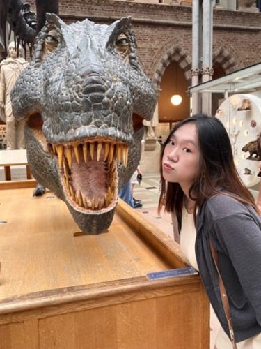 Internal Vice President