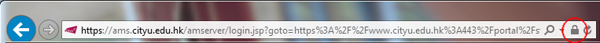Lock Icon of MS Internet Explorer