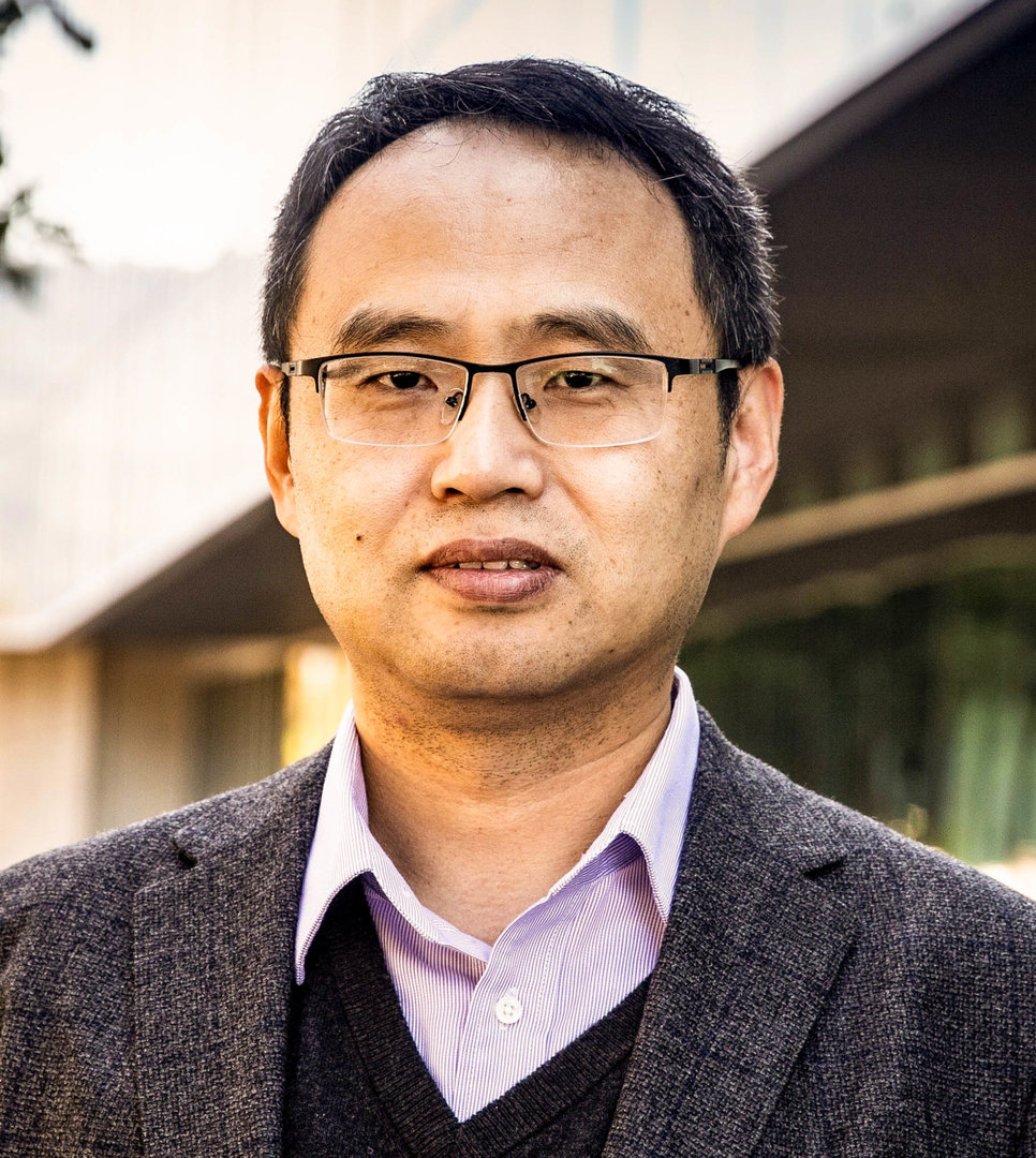 Professor Shujun ZHANG