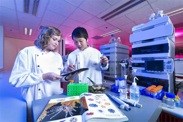 Department of Chemistry