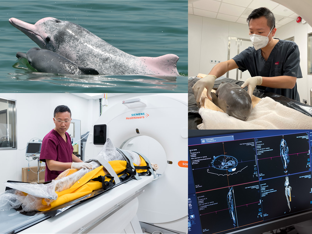 Chemistry on Computers