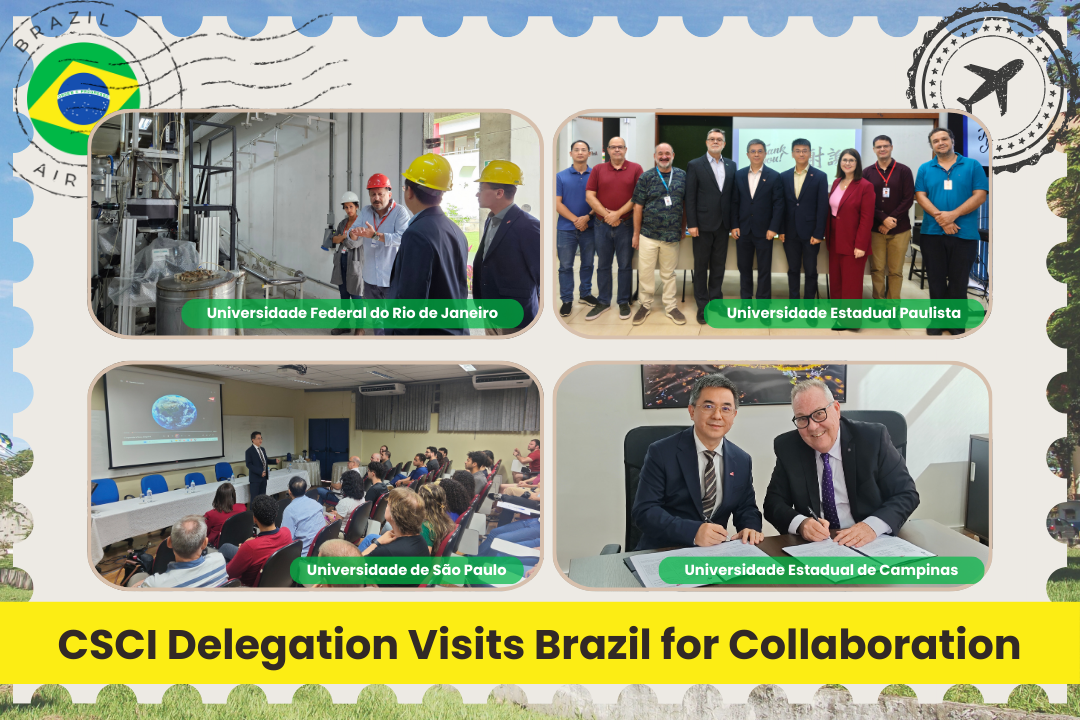 csci delegation visits brazil