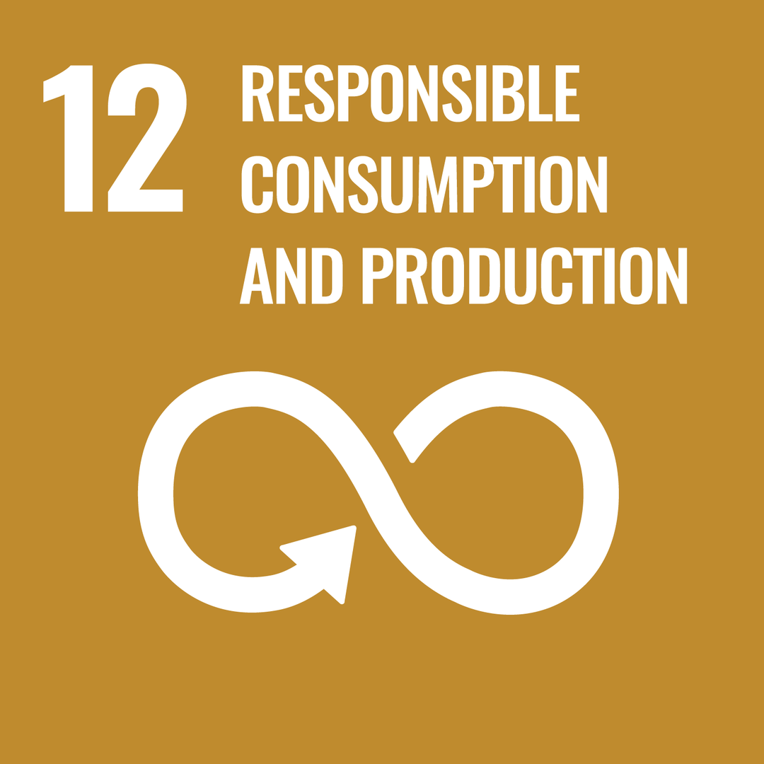 12 Responsible Consumption And Production logo