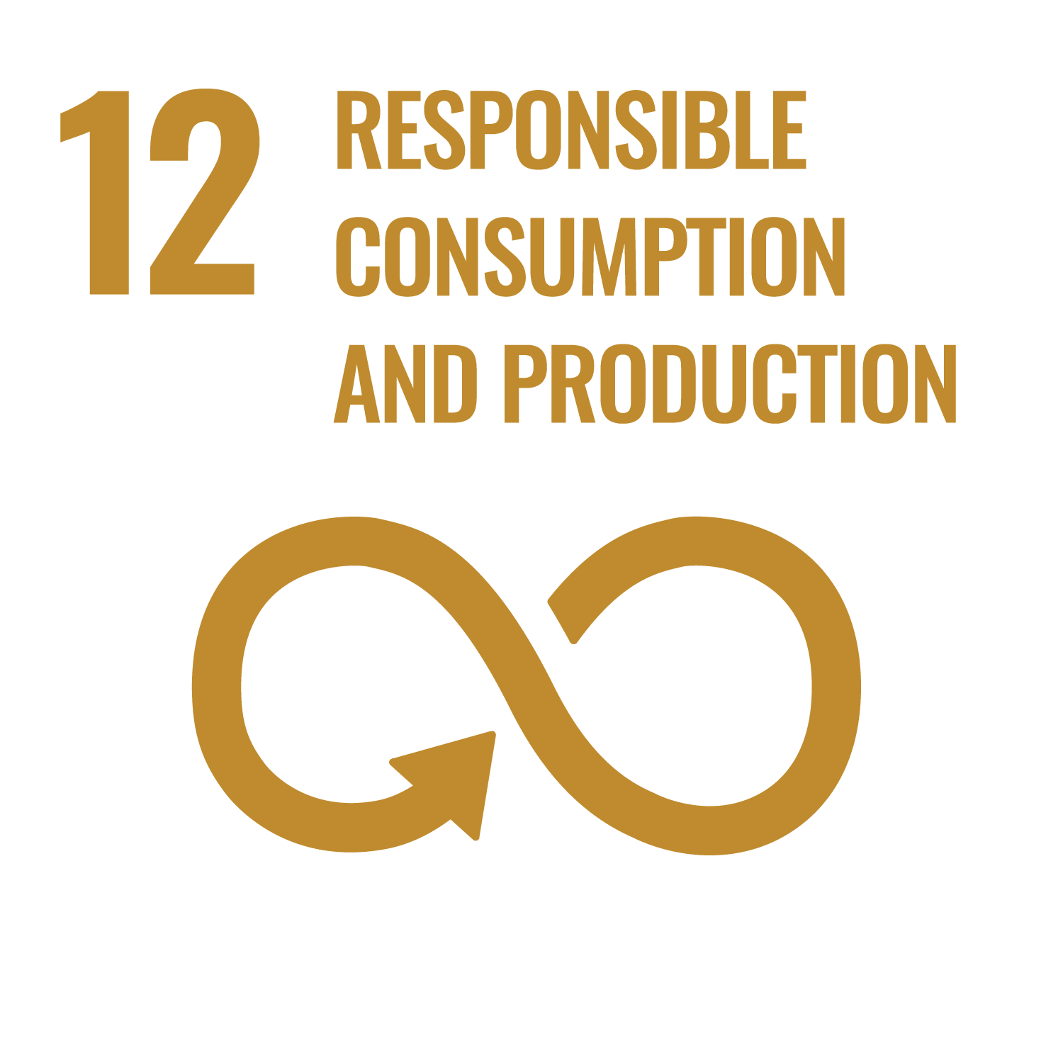 12 Responsible Consumption And Production logo