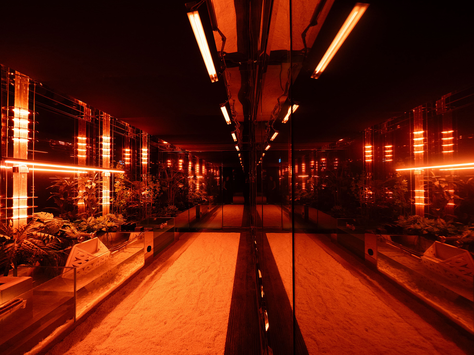 20260130_Banga_Web_8