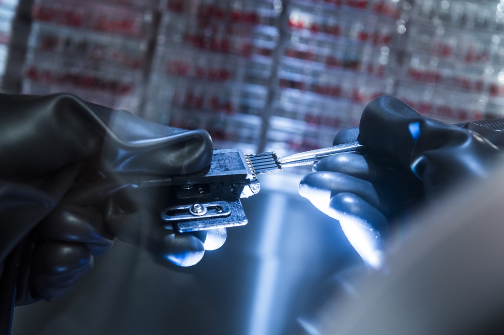 perovskite solar cells, PVSCs