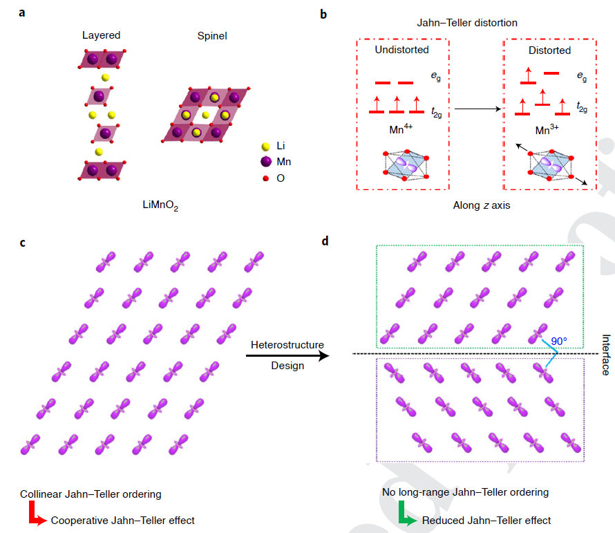 Jahn-Teller distortion and its orthogonal orbital ordering