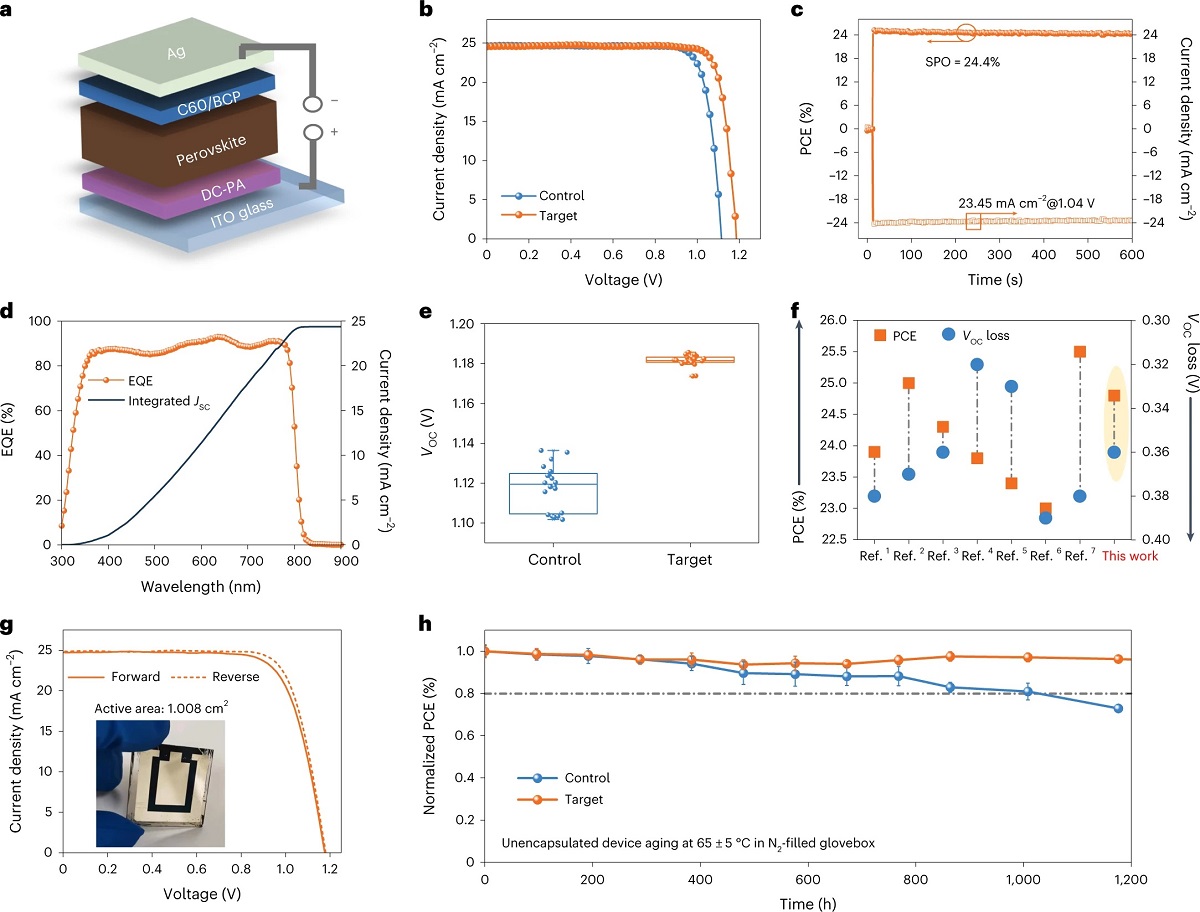 Perovskite solar cells