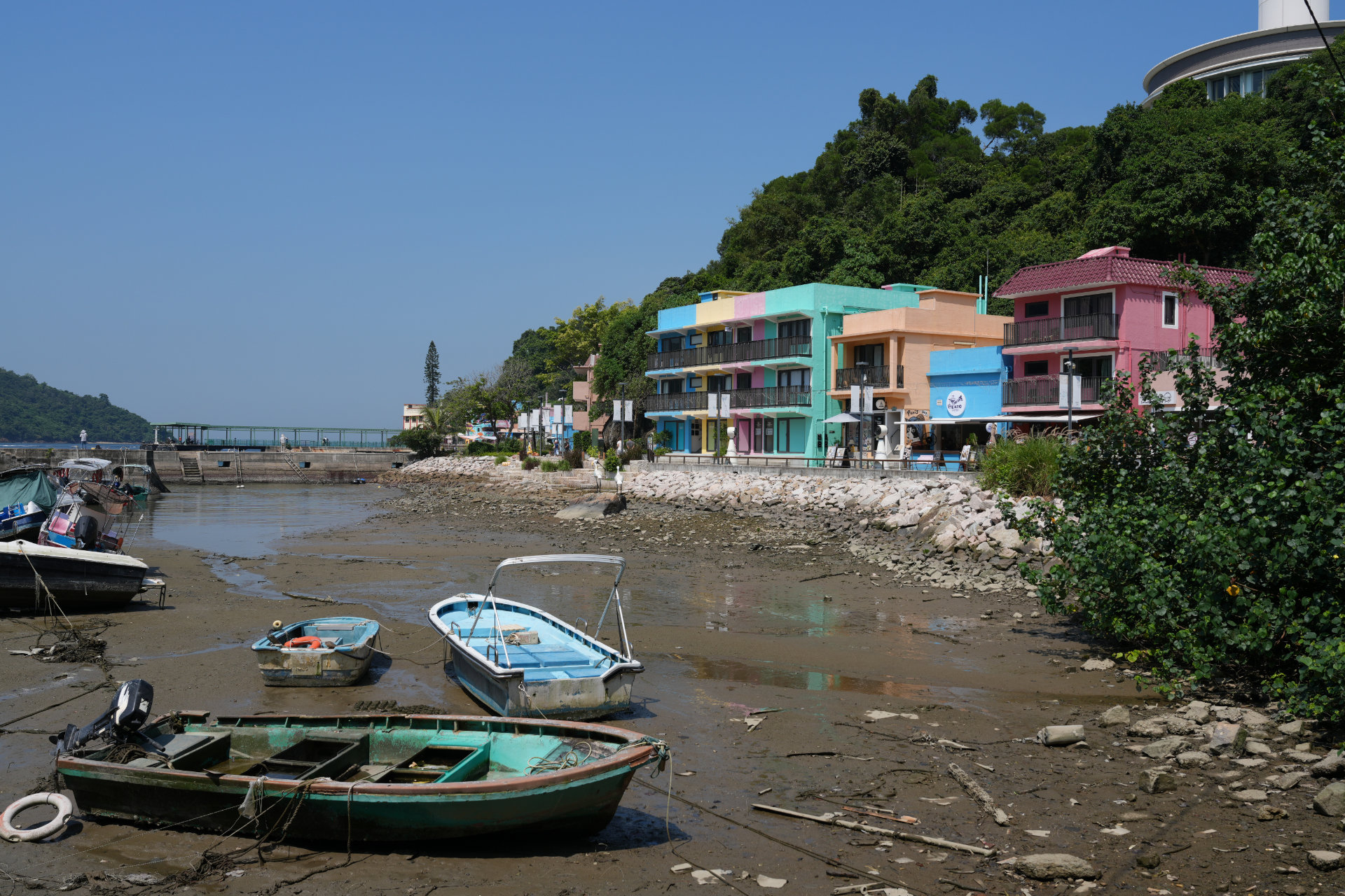 DSC06265