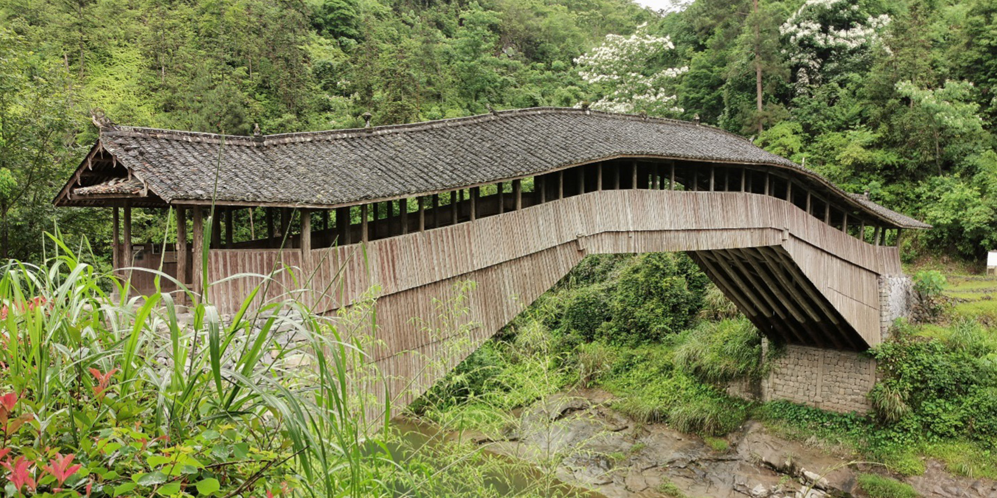 bridge