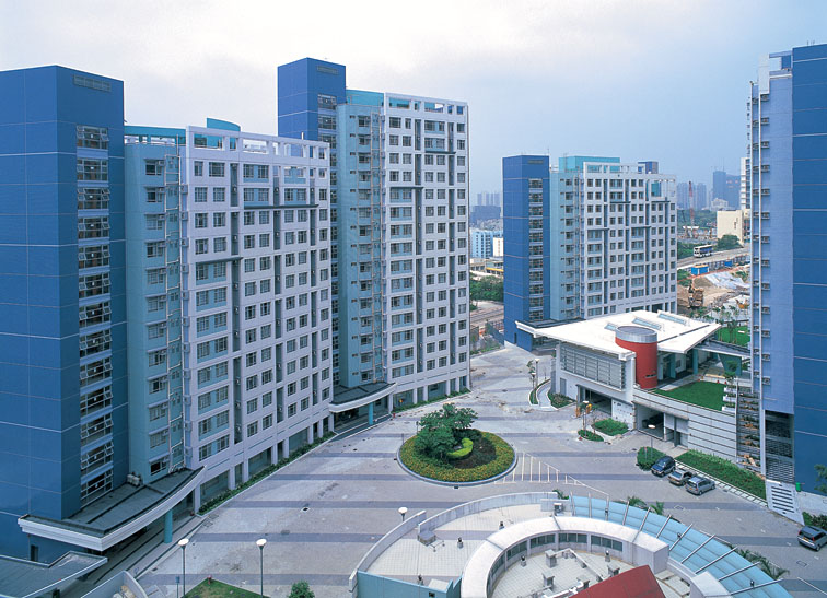 共創身心靈健康計劃