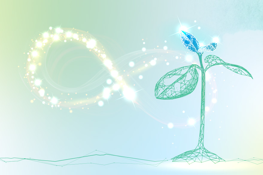 Banner_Foundation_S