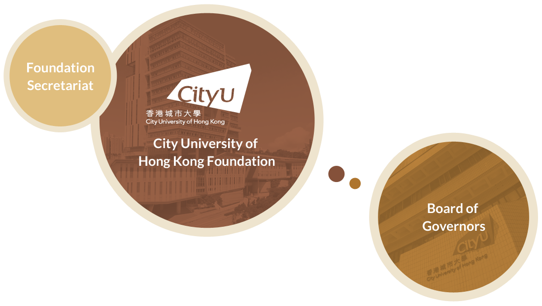 CityU Foundation Structure