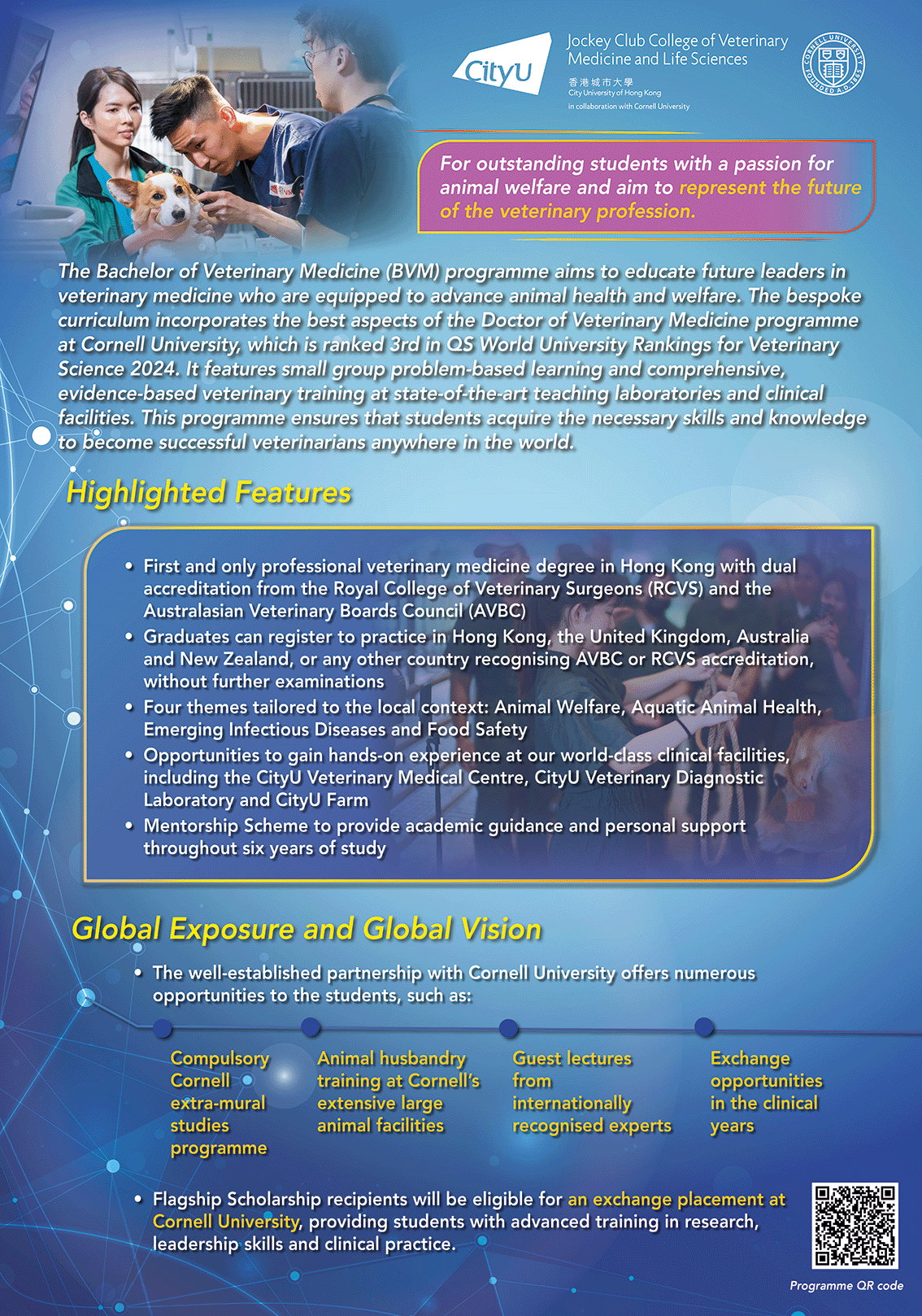 Flagship Scholarships_BVM