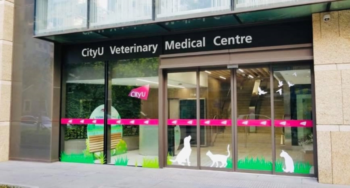 Companion Animal Clinic | Jockey Club College of Veterinary Medicine and  Life Sciences