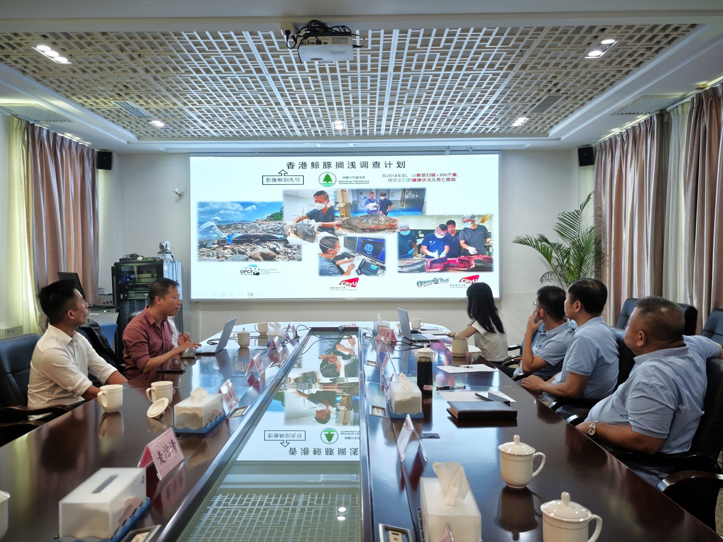 IMG_20250704_111213_0