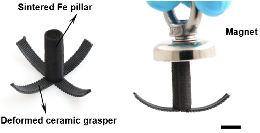 1041 Fig 2.jpg