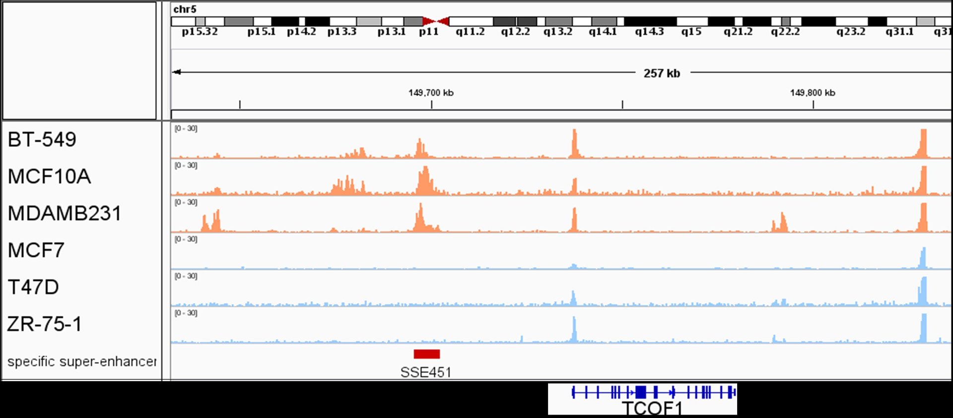 Figure1.jpg