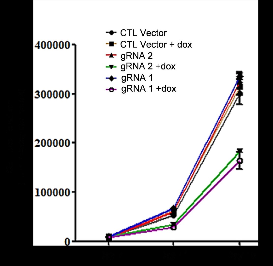 Figure2.jpg