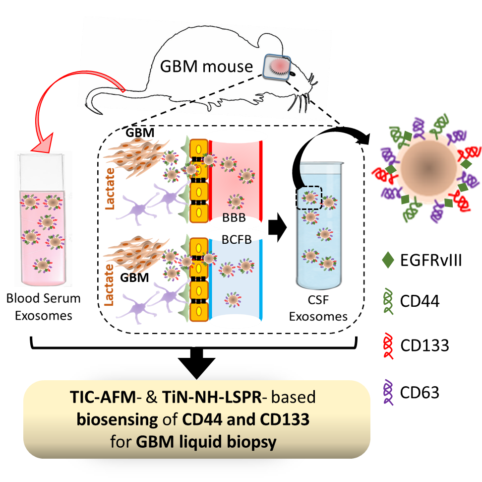 Representative diagram of the ultrasensitive detection of exosomal CD44 and CD133 