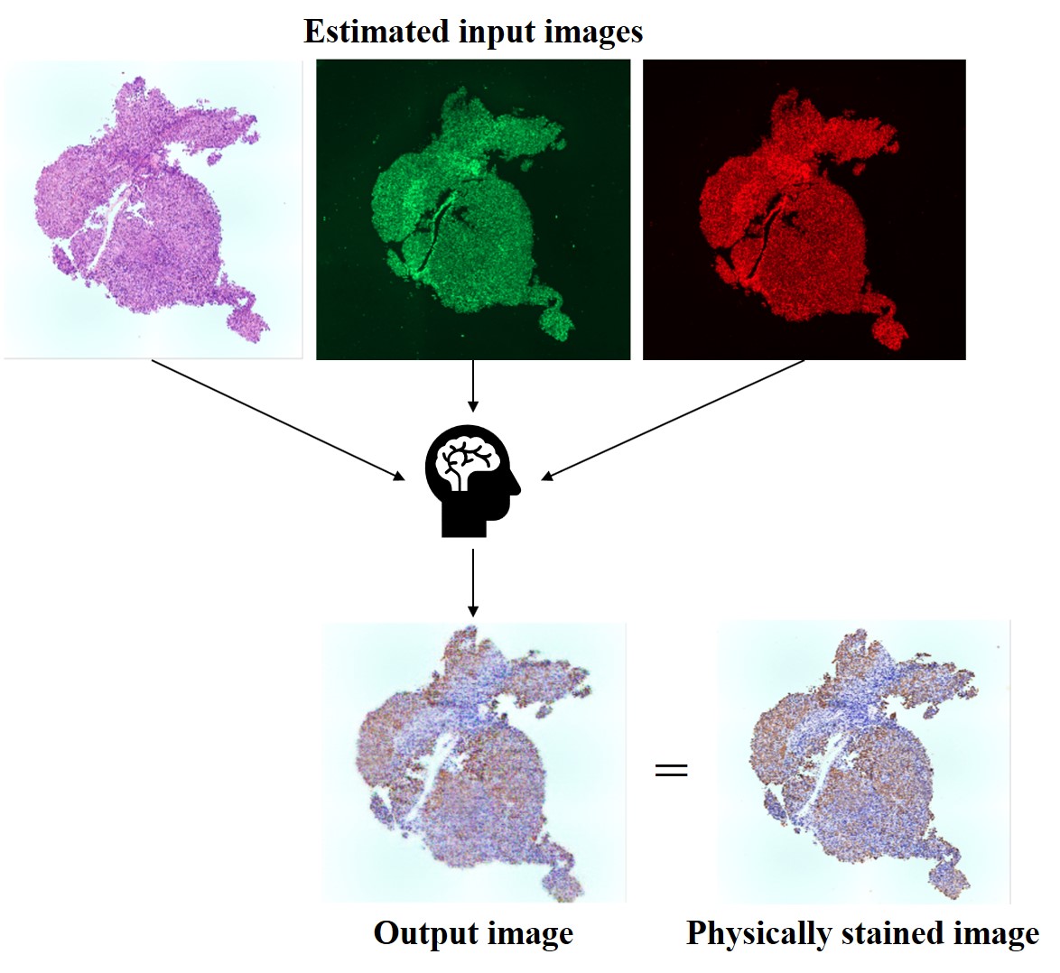 Figure 1.jpg