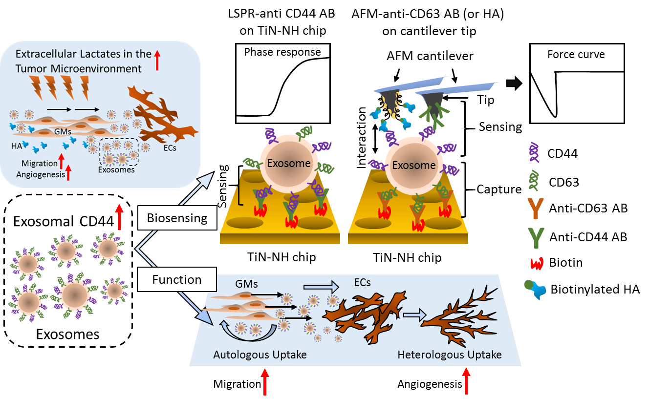 Sensor for Liquid Biopsy and Its Method of Making, and Method of Non-Invasive Liquid Biopsy.png