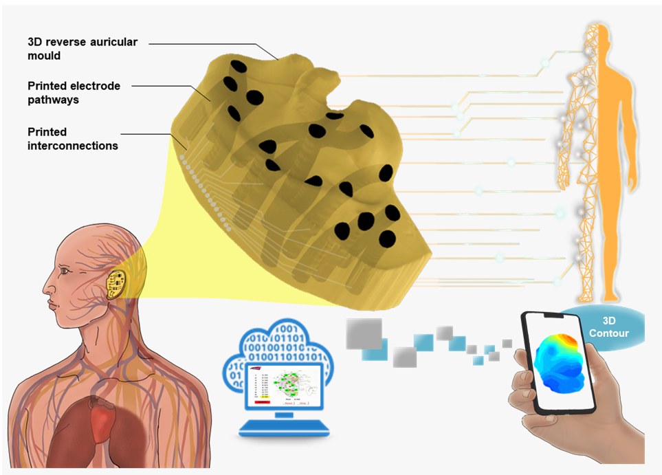 Three-dimensional Auricular Bio-signal Mapping for Human Health Monitoring
