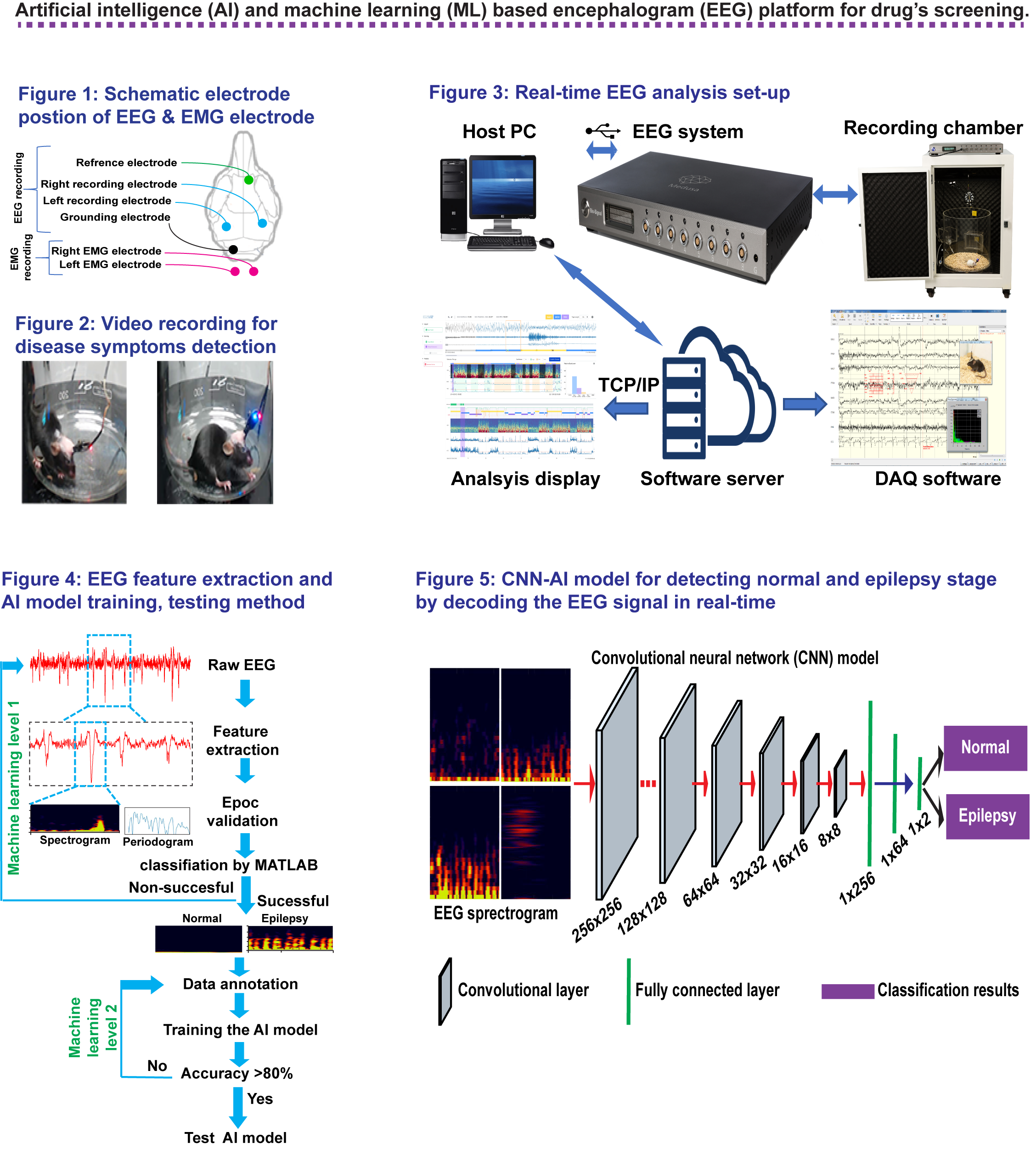 Artificial intelligence (AI) and machine learning based electroencephalogram (EEG) platform for drugs screening